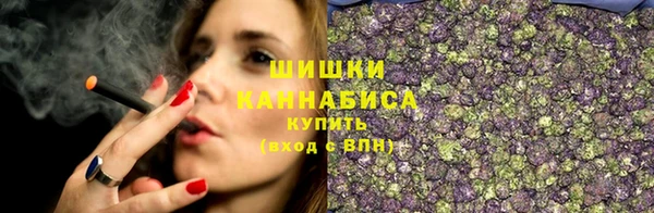 ешки Богородицк