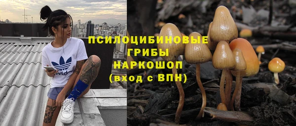 ешки Богородицк