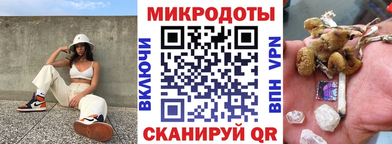 где продают наркотики  Павловск  Галлюциногенные грибы ЛСД 
